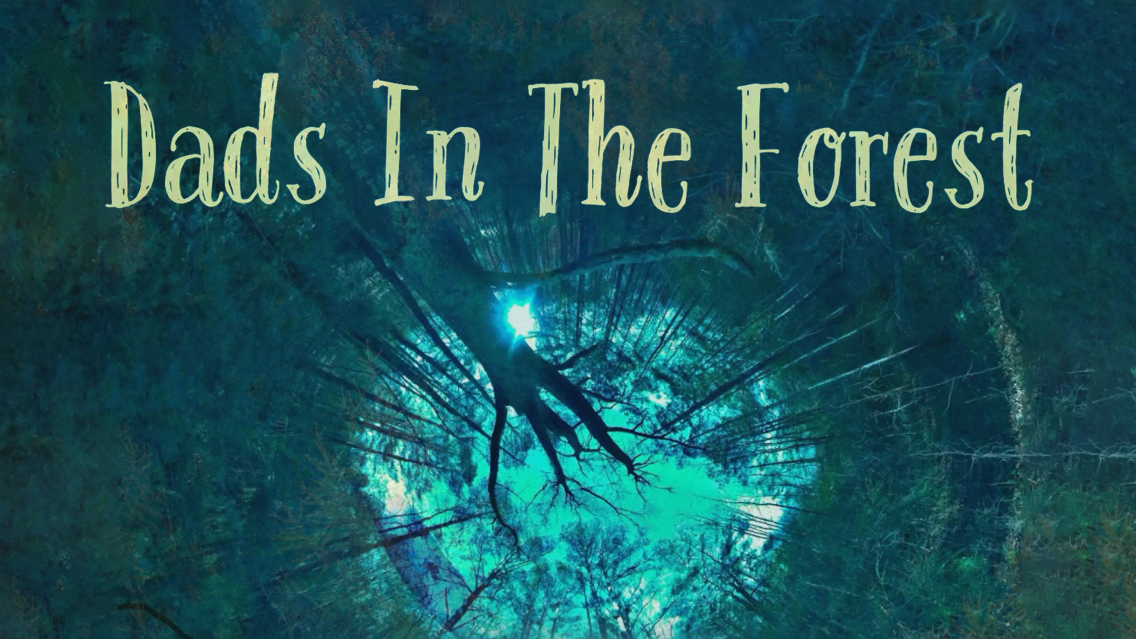 Dads In The Forest poster